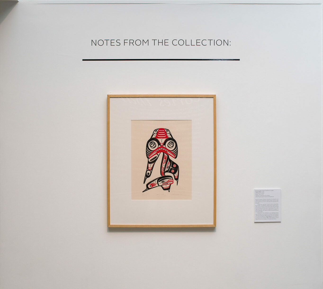 Haida print of a dogfish in red and black artwork displayed in a gallery with an informational plaque to the right.